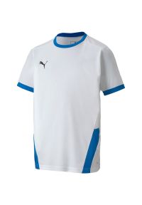 Podkoszulek Puma Teamgoal 23 Jersey Jr, Dzieci. Kolor: biały, niebieski, wielokolorowy. Materiał: jersey #1