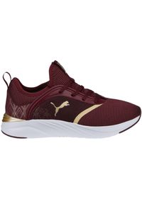 Buty do biegania damskie Puma Softride Ruby. Kolor: czerwony