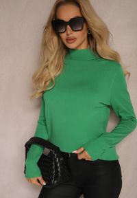 Renee - Zielony Casualowy Golf Arlotta. Okazja: na co dzień. Typ kołnierza: golf. Kolor: zielony. Materiał: jedwab, jeans, poliester, poliamid. Styl: casual
