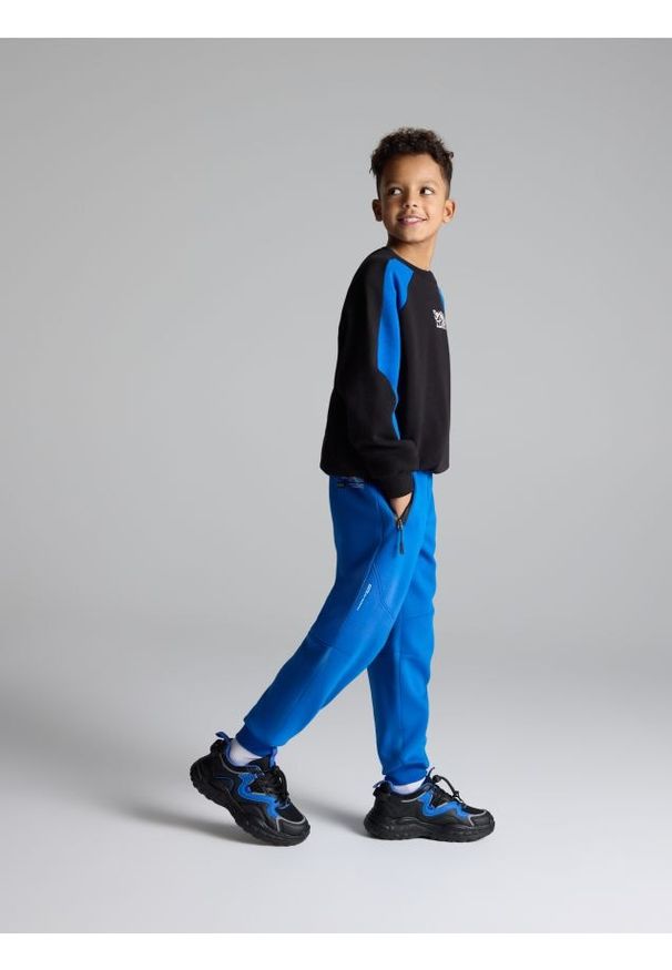 Reserved - Sportowe joggery - niebieski. Kolor: niebieski. Materiał: dzianina, dresówka. Styl: sportowy