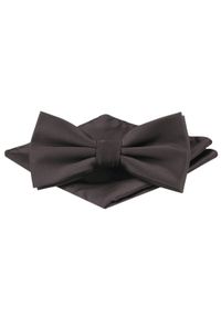 Mucha Męska z Poszetką - Alties - Czekoladowa. Kolor: beżowy, wielokolorowy, brązowy. Styl: sportowy, elegancki #1