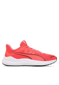 Buty do biegania Puma. Kolor: czerwony