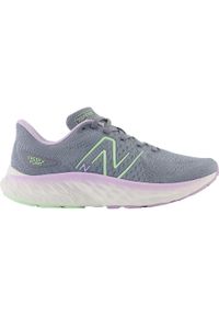 Kobieta Bieganie Buty Oddychające New Balance Fresh Foam X Evoz. Kolor: szary. Sport: bieganie