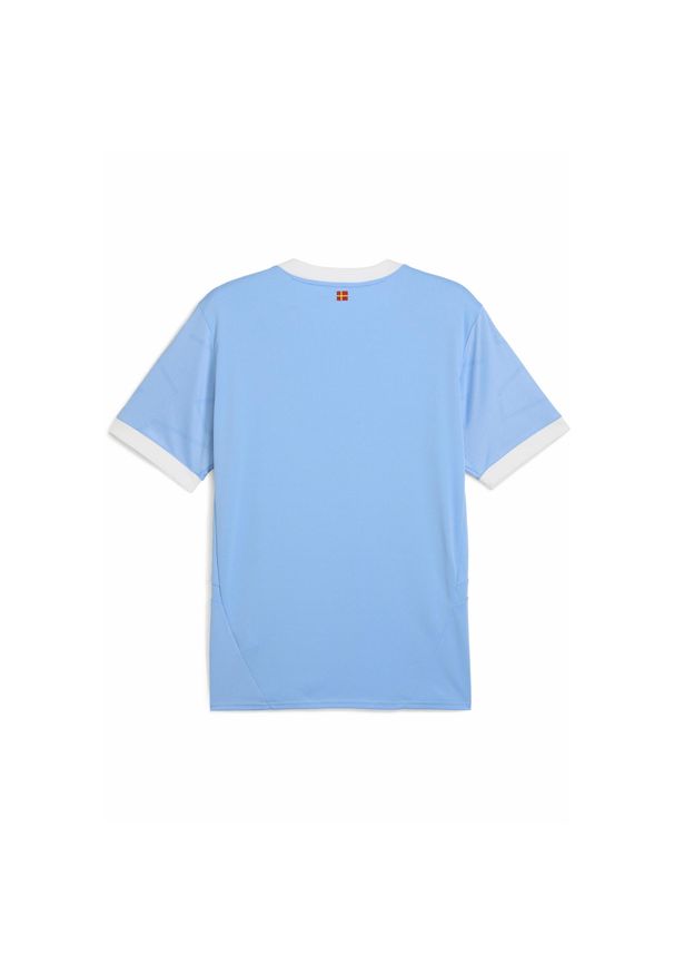 Puma - Męska koszulka domowa Malmö FF PUMA Team Light Blue White. Kolor: biały, wielokolorowy, niebieski