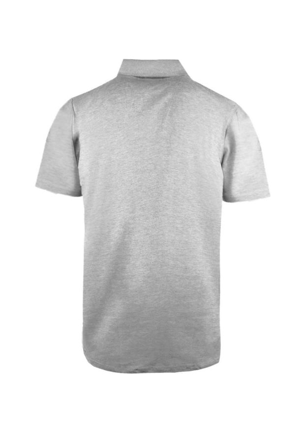 Koszulka Polo - Męska - Pako Jeans - Popielata. Okazja: na co dzień. Typ kołnierza: polo. Kolor: szary. Materiał: bawełna. Styl: casual