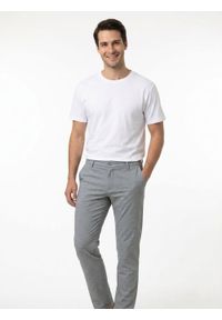 Lekkie, Męskie Spodnie Typu Chinos - Rigon - Popielate. Kolor: szary. Materiał: wiskoza, poliester, elastan #6