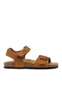 Sandały Geox. Kolor: brązowy #1