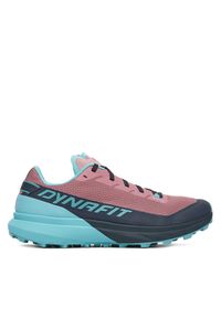 Buty do biegania Dynafit. Wzór: kolorowy