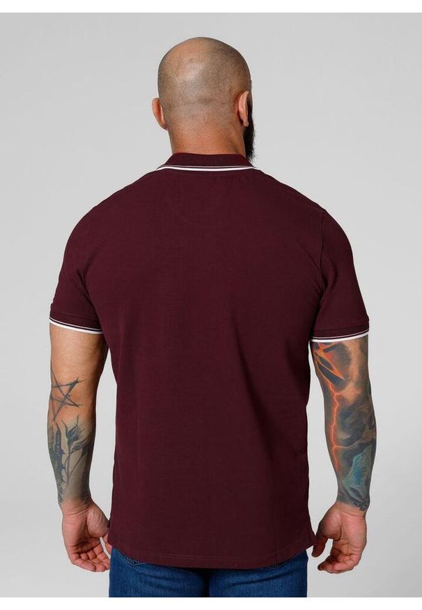 PITBULL - Koszulka Polo bawełniana klasyczna dla dorosłych Pique Stripes Regular. Typ kołnierza: polo. Kolor: czerwony, brązowy, wielokolorowy. Materiał: bawełna. Styl: klasyczny