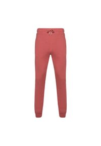 Fila - Spodnie męskie FILA Braives Sweet. Kolor: czerwony. Materiał: dresówka