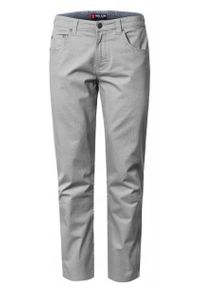 Lekkie, Bawełniane Spodnie - Wiosna, Lato - Pako Jeans - Szare. Kolor: szary. Materiał: elastan, bawełna. Sezon: wiosna, lato #1