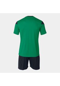 Zestaw piłkarski męski Joma Phoenix. Kolor: czarny, zielony, wielokolorowy. Materiał: dresówka. Sport: piłka nożna #2