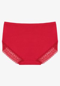 Renee - Bordowe Bawełniane Majtki Figi Zdobione Koronką Idilene. Kolekcja: plus size. Kolor: czerwony. Materiał: koronka, bawełna. Wzór: koronka, aplikacja