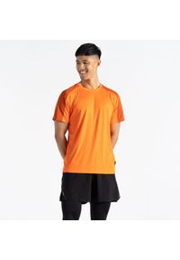 DARE 2B - Męska koszulka trekkingowa Discernible III. Kolor: pomarańczowy. Materiał: poliester
