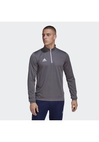Bluza piłkarska męska Adidas Entrada 22 Training Top. Kolor: szary. Materiał: poliester. Sport: piłka nożna #1