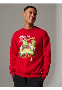 Sinsay - Bluza świąteczna Shrek - koralowy. Kolor: pomarańczowy. Wzór: nadruk