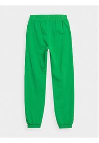 4f - 4F Spodnie dresowe 4FJAW23TTROF426 Zielony Regular Fit. Kolor: zielony. Materiał: bawełna #2