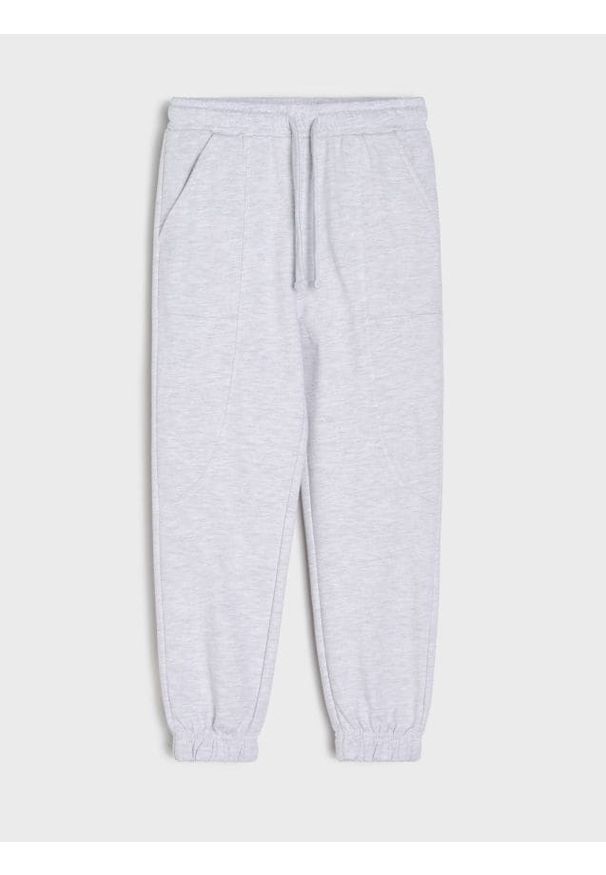 Sinsay - Spodnie dresowe jogger ze ściągaczami na nogawkach - szary. Kolor: szary. Materiał: dresówka