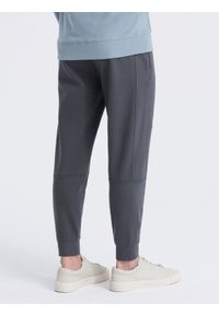 Ombre Clothing - Spodnie męskie dresowe joggery - grafitowe V5 OM-PASK-0142 - XXL. Kolor: szary. Materiał: dresówka. Styl: sportowy