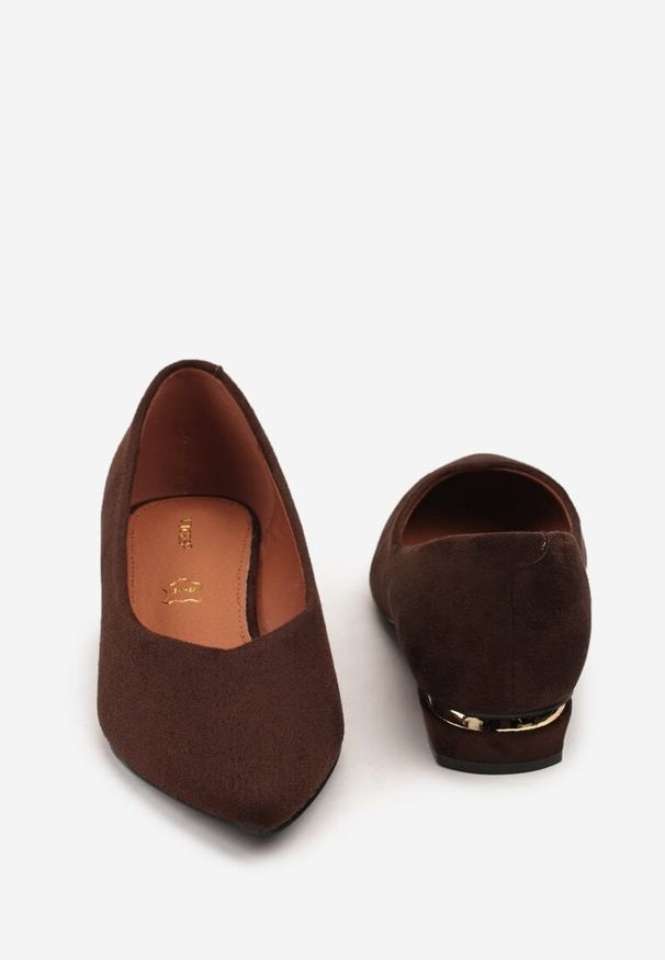 Born2be - Brązowe Czółenka Balerinki Vices ze Szpiczastym Noskiem i Skórzaną Wkładką Falavesa. Okazja: na co dzień. Nosek buta: szpiczasty. Kolor: brązowy. Materiał: skóra. Obcas: na obcasie. Styl: elegancki, casual. Wysokość obcasa: niski