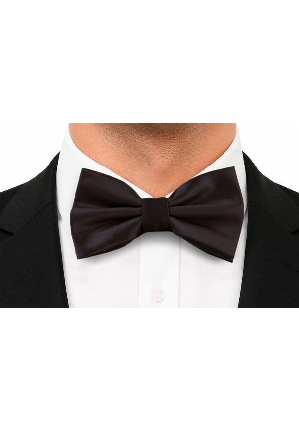 Mucha Męska w Zestawie z Poszetką - Alties - Głęboki Brąz. Kolor: beżowy, wielokolorowy, brązowy. Styl: elegancki, sportowy