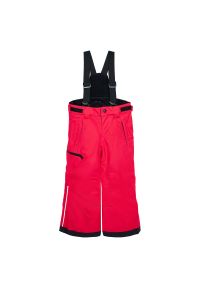 Spodnie dla dzieci narciarskie Reima Terrie 532186. Materiał: materiał, poliester. Wzór: gładki. Sezon: zima. Sport: narciarstwo #1