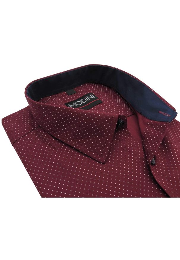 Modini - Bordowa koszula w białe kropki i z granatowymi kontrastami Y11. Typ kołnierza: kołnierzyk klasyczny. Kolor: biały, wielokolorowy, czerwony, niebieski. Materiał: bawełna, poliester, tkanina. Długość: długie. Wzór: kropki. Styl: klasyczny