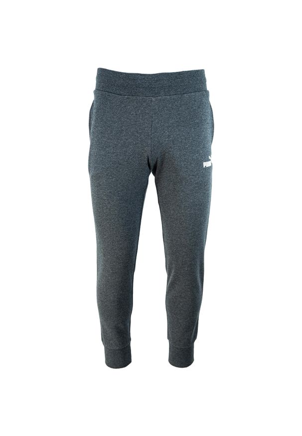 Spodnie damskie Puma ESS Sweatpants FL. Kolor: szary. Materiał: bawełna, materiał. Długość: długie