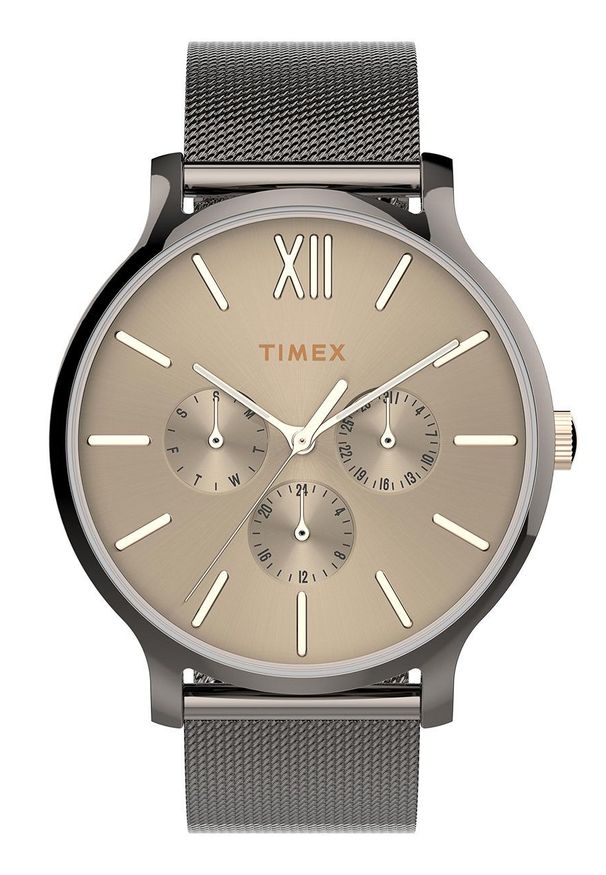 Timex - Zegarek TW2T74700. Kolor: srebrny