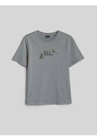 4f - 4F T-shirt loose z nadrukiem damski - szary S. Kolor: szary. Materiał: bawełna, prążkowany, materiał, dzianina. Wzór: nadruk. Styl: klasyczny, vintage #1