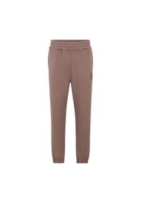 Fila - Spodnie FILA Baydon. Kolor: brązowy. Materiał: dresówka