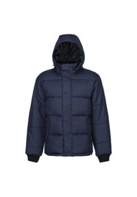 Regatta - Ocieplana Kurtka Męska Northdale. Kolor: niebieski. Sport: turystyka piesza #1