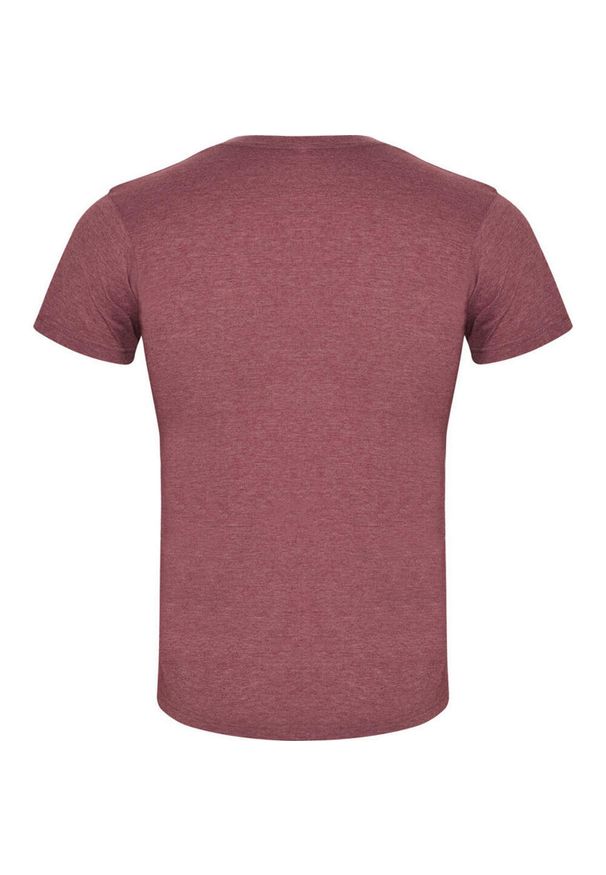 ROLY - Męska Koszulka Z Krótkim Rękawem Fox Heather. Kolor: czerwony. Długość rękawa: krótki rękaw. Długość: krótkie. Sport: turystyka piesza