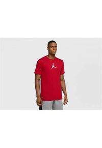 Koszulka sportowa męska Nike Air Jordan Dri-fit Air Graphic. Kolor: czerwony. Długość rękawa: krótki rękaw. Technologia: Dri-Fit (Nike). Długość: krótkie. Sport: fitness