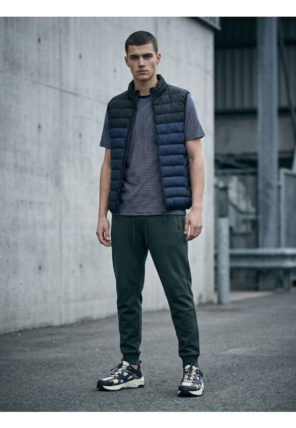 Sinsay - Spodnie dresowe jogger - zielony. Kolor: zielony. Materiał: dresówka