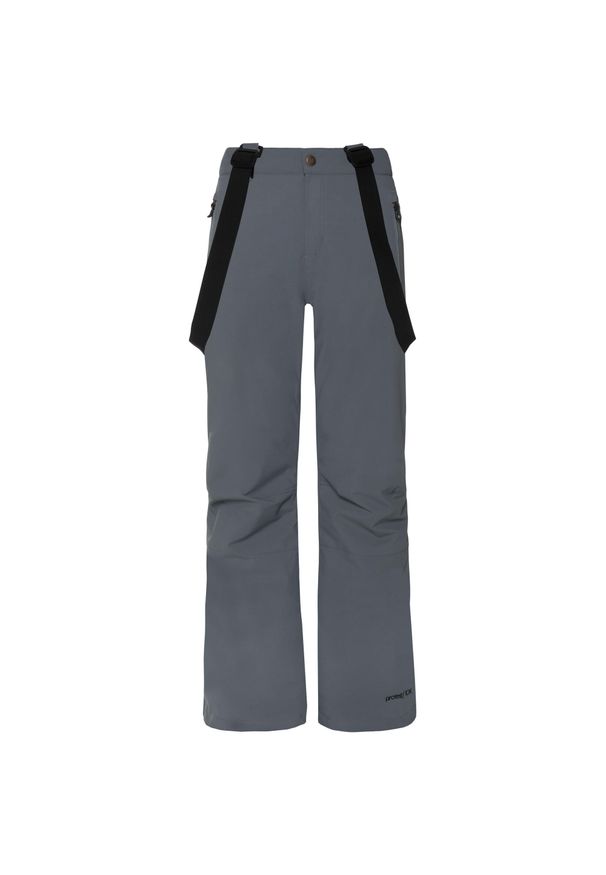 Spodnie narciarskie i snowboardowe dziecięce Protest Sunny Jr. Kolor: szary. Sezon: zima. Sport: narciarstwo, snowboard