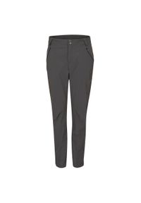 Spodnie softshellowe damskie Rab Ascendor Light Pants Regular. Kolor: szary. Sport: turystyka piesza