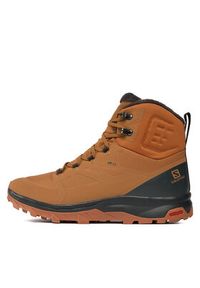 Salomon Trekkingi Outblast Thinsulate™ Climasalomon™ Waterproof L47382500 Brązowy. Kolor: brązowy. Materiał: syntetyk. Technologia: Thinsulate. Sport: turystyka piesza #4