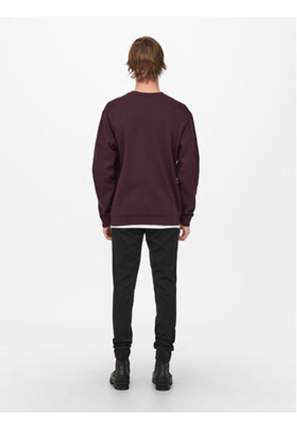 Only & Sons Bluza 22018683 Bordowy Regular Fit. Kolor: czerwony. Materiał: bawełna