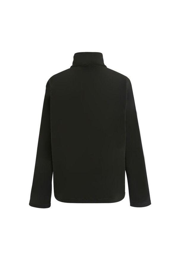 Regatta - Męska Bluza Polarowa Ascender. Kolor: szary, czarny, wielokolorowy. Materiał: polar. Sezon: zima. Styl: sportowy. Sport: turystyka piesza