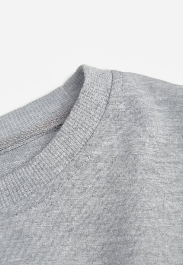 Renee - Jasnoszara Bluza z Bawełną ze Ściągaczami przy Rękawach i w Pasie Alberia. Kolor: szary. Materiał: bawełna