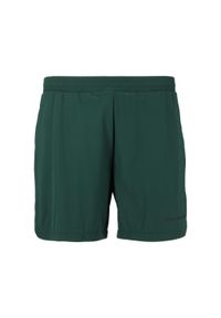 ENDURANCE - Szorty Endurance Dyne. Kolor: niebieski, wielokolorowy, zielony. Długość: krótkie. Sezon: lato #1