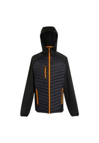 Regatta - Męska Pikowana Kurtka Hybrydowa Navigate. Kolor: czarny, wielokolorowy, pomarańczowy. Materiał: puch. Sport: turystyka piesza #1