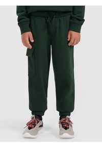 4f - 4F Spodnie dresowe joggery chłopięce - zielone 128 (7-8 lat). Kolor: zielony. Materiał: dresówka. Sezon: lato