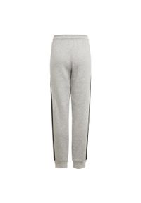 Adidas - Spodnie dla dzieci adidas Essentials 3 Stripes Pant GQ8899. Kolor: wielokolorowy, szary, czarny