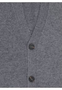 Pako Lorente - PAKO LORENTE - Męski kardigan w szarym kolorze. Okazja: na co dzień. Kolor: szary. Materiał: wełna, poliamid, bawełna. Sezon: jesień. Styl: casual #3