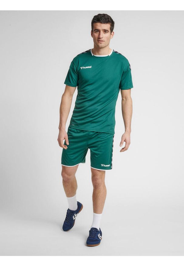 Jersey Hummel hmlAUTHENTIC Poly HML. Kolor: zielony, biały, wielokolorowy. Materiał: jersey. Sport: piłka nożna
