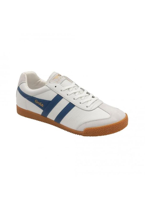Buty do chodzenia męskie Gola Harrier Leder. Kolor: biały. Materiał: skóra, materiał. Szerokość cholewki: normalna. Sport: turystyka piesza