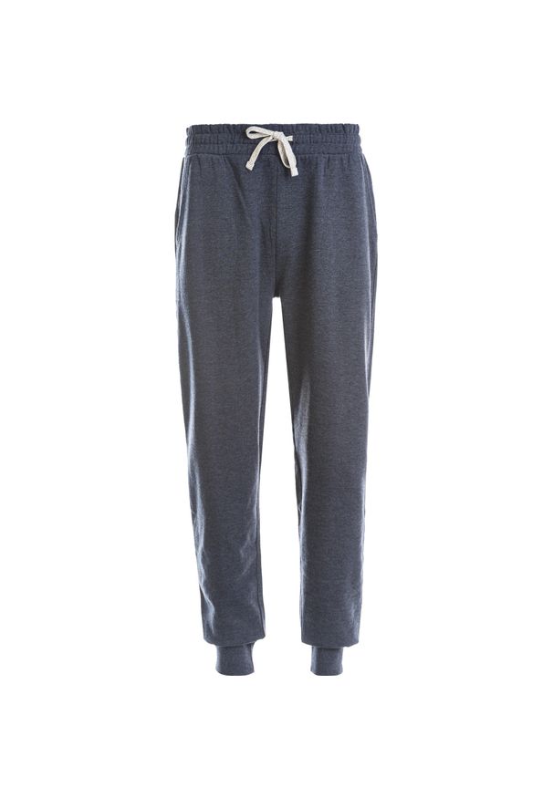 CRUZ - Jogging Cruz Regent. Kolor: niebieski, wielokolorowy, biały. Sport: bieganie