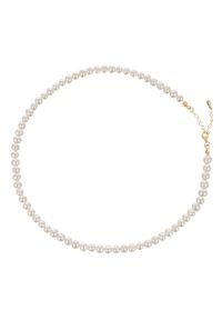 Braccatta - ADA GOLD Naszyjnik małe perły białe naturalne chocker regulowany. Materiał: pozłacane, srebrne. Kolor: biały. Wzór: aplikacja. Kamień szlachetny: perła #1